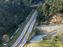 -长沙黑麋峰国家森林公园