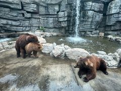 -北京野生动物园