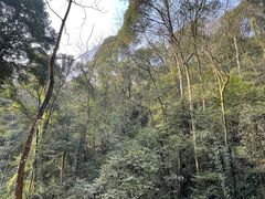 -青城山