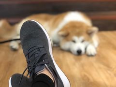-YCHL Studios健身工作室(市二宫店)