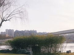-西安曲江寒窑遗址公园