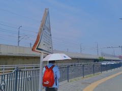 -海堤纪念公园
