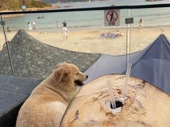 -后海村