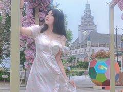 -荷兰花海