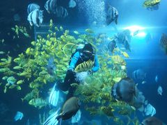 -太平洋海底世界