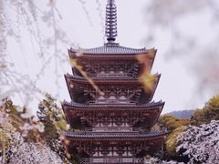 -醍醐寺