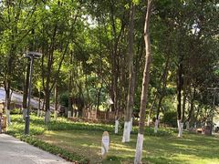 -成都市活水公园