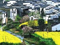 -婺源风景区