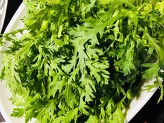 -锅说大脸毛肚重庆老火锅(佐阾店)