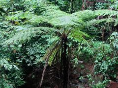 -赤水丹霞旅游区·佛光岩