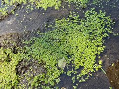 -白水寺森林公园