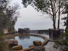 -天目湖涵田半山温泉