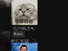 -叁拾壹丨浮世绘x壹拾叁沉浸演绎剧场