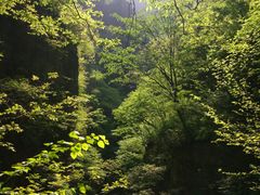 -焦作青龙峡风景名胜区
