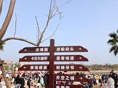 -九龙湖公园