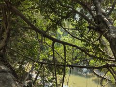 -燕晗山郊野公园