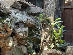 -小雅青年旅舍(平江路店)