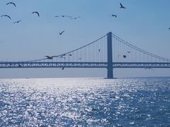 -星海湾跨海大桥