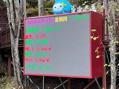 -汤旺河林海奇石景区