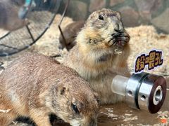 -珠海海泉湾神秘岛亲子乐园