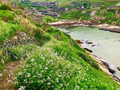 -东极岛景区-青浜岛