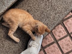 -Big House当代艺术中心