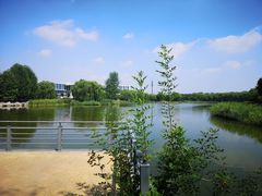 -大兴滨河森林公园