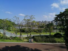 -飞凤山奥体公园