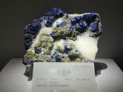 -湖南省地质博物馆