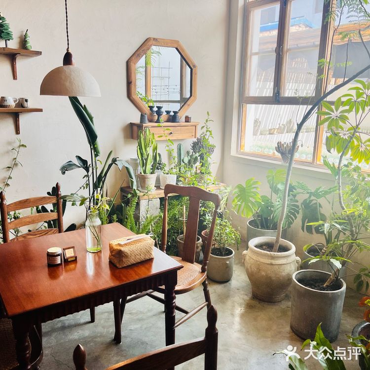 山野咖啡☕，安静简单的下午茶🍵