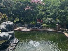 -吉隆坡雀鸟公园