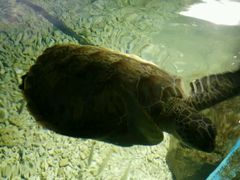 -福州罗源湾海洋世界旅游区