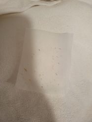 -塑青春&伊肤泉祛痘皮肤管理