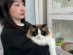 -青奢宠物·青奢猫舍