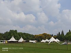 -昆山城市生态森林公园