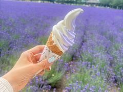 -富田农场