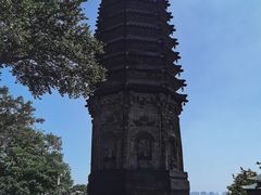 -高尔山公园