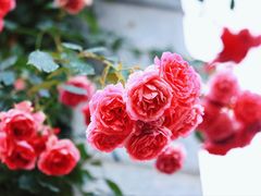 -上海科技馆(地铁站)