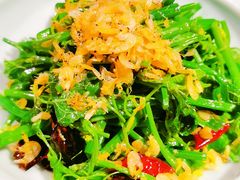 丝瓜尖-小吊梨汤·北京菜·烤鸭(鸟巢店)