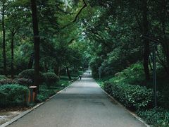 -麦当劳(长沙东风路店)