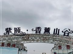 -紫颐香薰山谷景区