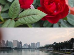 -白鹭洲公园