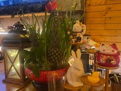 -越秀西湖花市(广州城市广场花卉店)