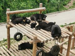 -大连森林动物园