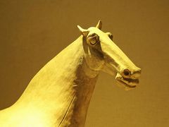 -宁夏博物馆