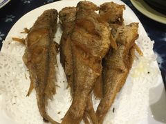 -白家餐厅(徐家汇店)