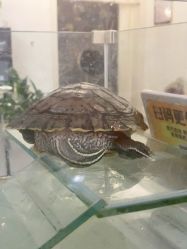 -香秀空间科技抗衰·美容中心