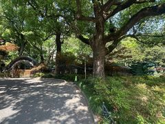 -申粤轩酒楼·三十年粤菜经典(丁香花园店)