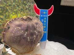 -德天肥牛海鲜火锅(城西银泰店)