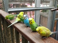 -正佳雨林生态植物园